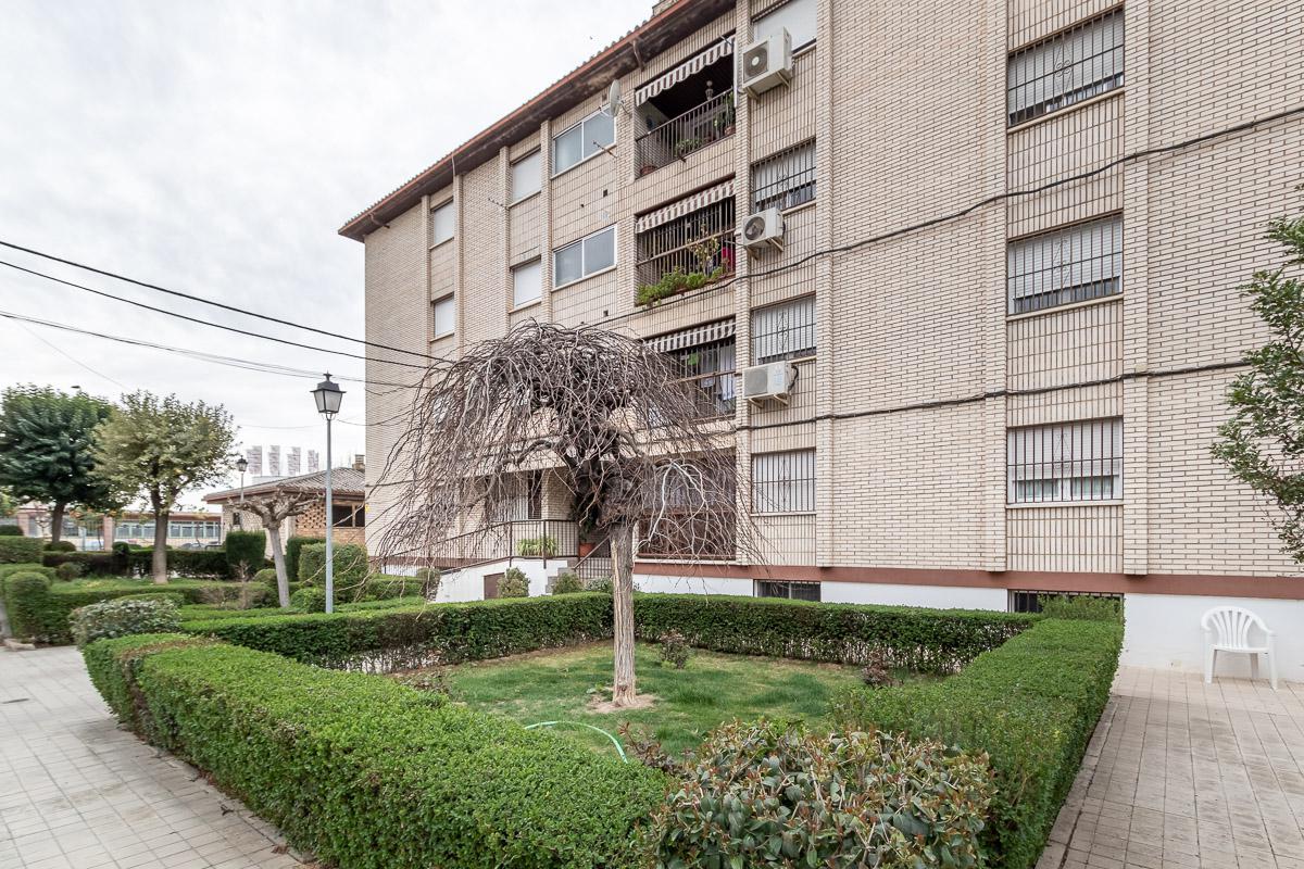 Imagen 24 Planta Baja en venta en Pinos Puente / Frente Cruz de Granada