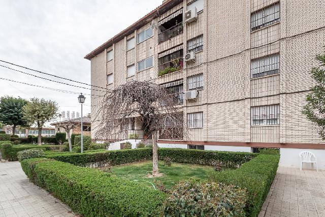 Imagen 24 Inmueble 259206 - Planta Baja en venta en Pinos Puente / Frente Cruz de Granada