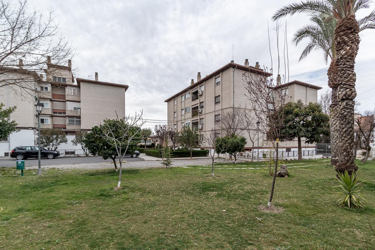 Imagen 25 Planta Baja en venta en Pinos Puente / Frente Cruz de Granada