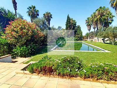 Imagen 8 Casa Aislada en venta en Badajoz / Frente al Complejo Alcántara y junto al Nuevo Vivero