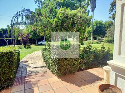 Imagen 22 Inmueble 285858 - Casa Aislada en venta en Badajoz / Frente al Complejo Alcántara y junto al Nuevo Vivero