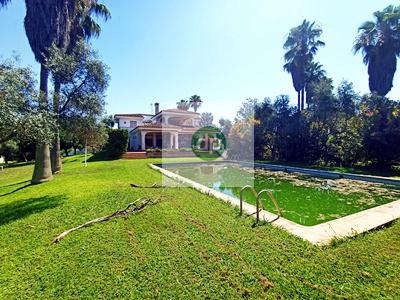 Imagen 9 Inmueble 285858 - Casa Aislada en venta en Badajoz / Frente al Complejo Alcántara y junto al Nuevo Vivero