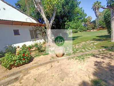 Imagen 37 Casa Aislada en venta en Badajoz / Frente al Complejo Alcántara y junto al Nuevo Vivero