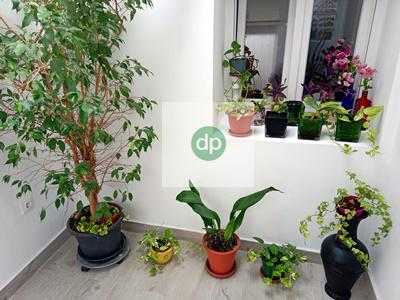 Imagen 34 Casa en venta en Badajoz / En la zona de Ctra. de la Corte, cerca de la Avenida.