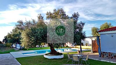 Imagen 28 Inmueble 287568 - Casa Aislada en venta en Badajoz / En la Carretera de Olivenza, frente al Corazón de Jesús