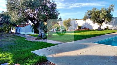 Imagen 38 Casa Aislada en venta en Badajoz / En la Carretera de Olivenza, frente al Corazón de Jesús