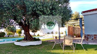 Imagen 39 Inmueble 287568 - Casa Aislada en venta en Badajoz / En la Carretera de Olivenza, frente al Corazón de Jesús