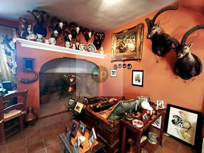 Imagen 46 Inmueble 291283 - Casa en venta en Mérida / Junto la Templo de Diana, y próx a Plaza España.