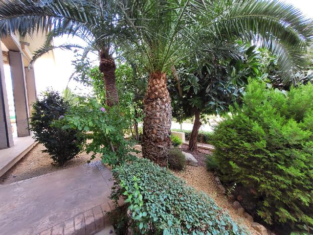 Imagen 3 Inmueble 266742 - Apartamento en venta en Alicante/alacant / Avda. de Denia, junto colegio, hospitales, c. c...