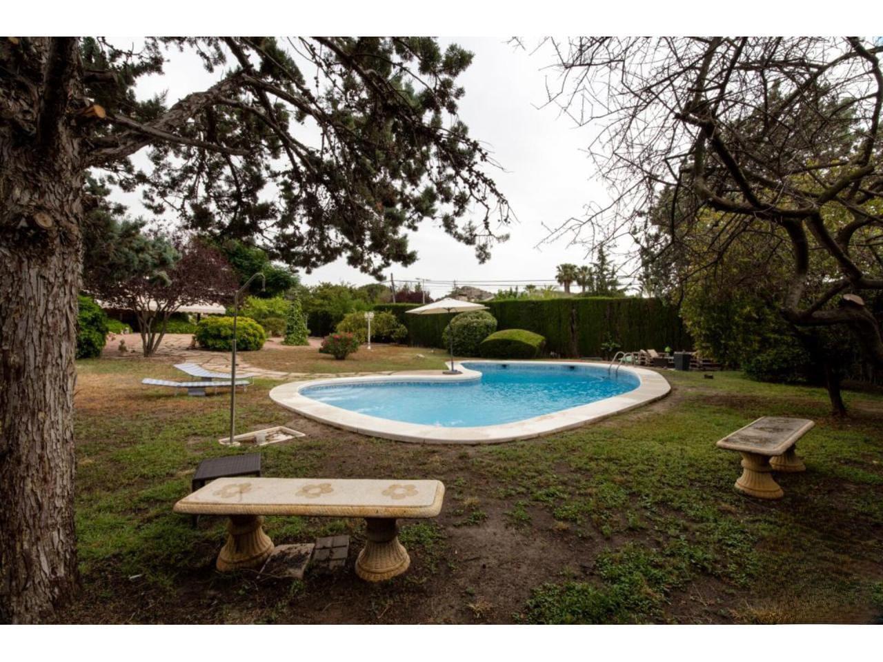 Imagen 8 Casa Rústica en venta en Petrer / Urbanización Loma Badá cerca de la barrera