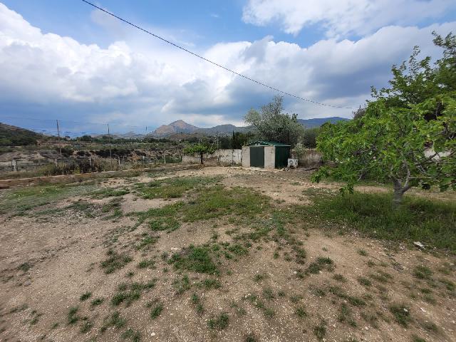 Imagen 5 Inmueble 276004 - Casa Rústica en venta en Petrer / Partida Reventó-Loma Badá