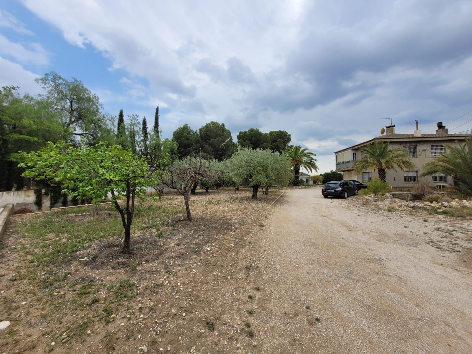 Imagen 8 Casa Rústica en venta en Petrer / Partida Reventó-Loma Badá