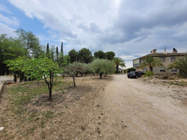 Imagen 8 Inmueble 276004 - Casa Rústica en venta en Petrer / Partida Reventó-Loma Badá