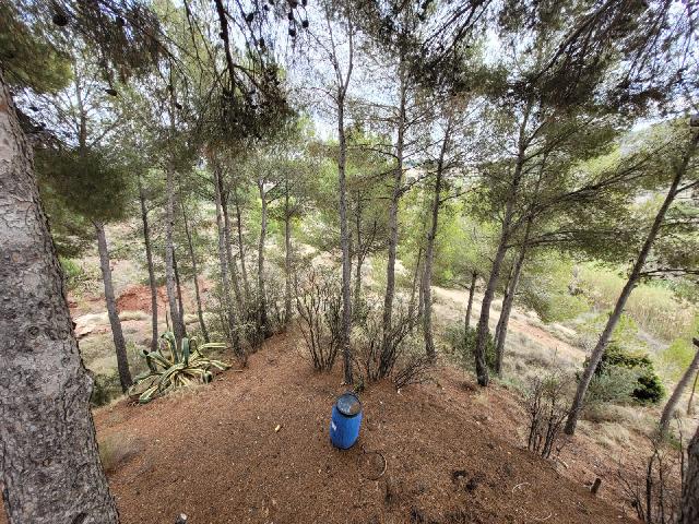 Imagen 15 Inmueble 276004 - Casa Rústica en venta en Petrer / Partida Reventó-Loma Badá