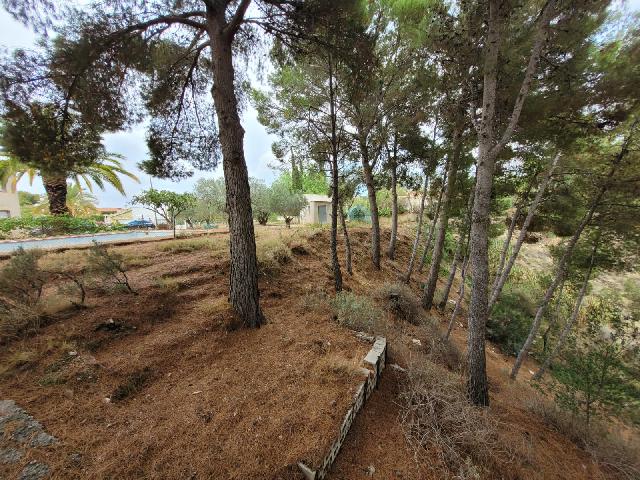 Imagen 16 Inmueble 276004 - Casa Rústica en venta en Petrer / Partida Reventó-Loma Badá