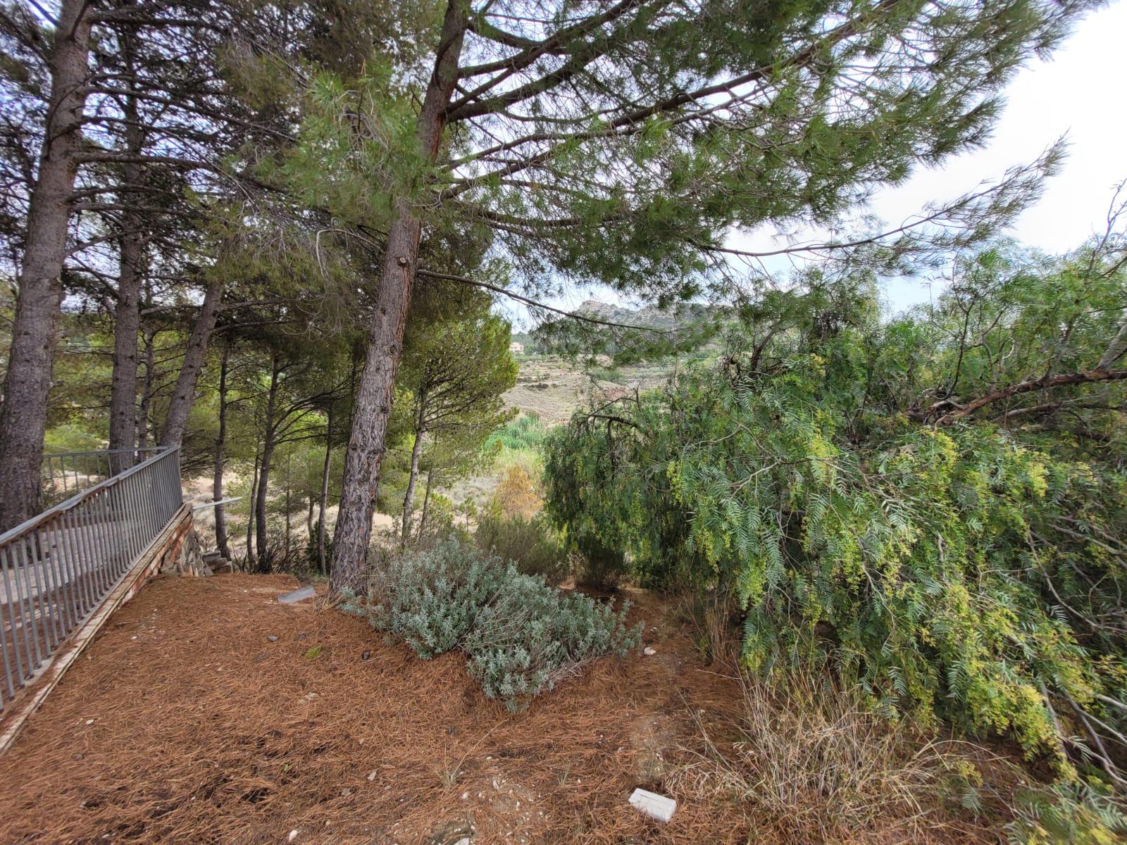 Imagen 14 Casa Rústica en venta en Petrer / Partida Reventó-Loma Badá