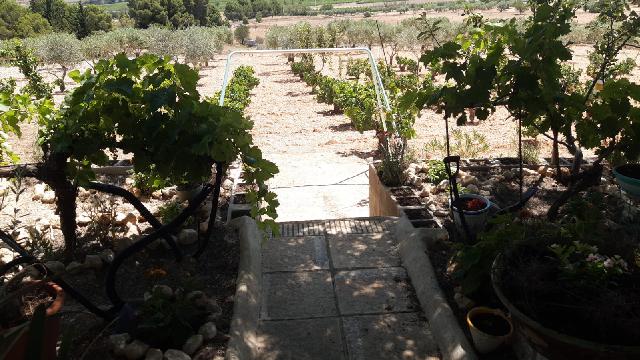 Imagen 13 Inmueble 277328 - Casa Aislada en venta en Montealegre Del Castillo / Zona Consultorio. Carretera Montealegr...