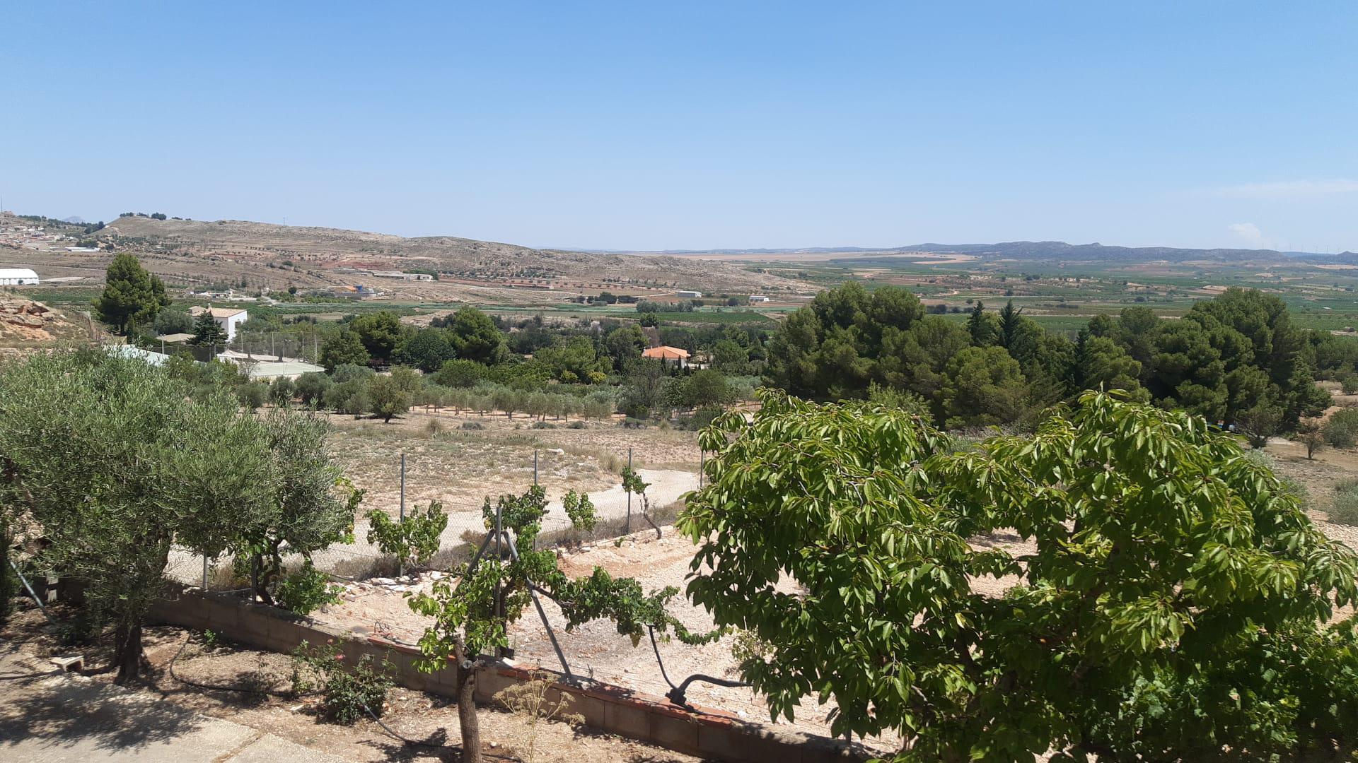 Imagen 15 Casa Aislada en venta en Montealegre Del Castillo / Zona Consultorio. Carretera Montealegr...