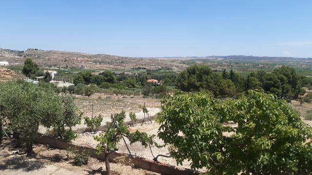 Imagen 15 Inmueble 277328 - Casa Aislada en venta en Montealegre Del Castillo / Zona Consultorio. Carretera Montealegr...