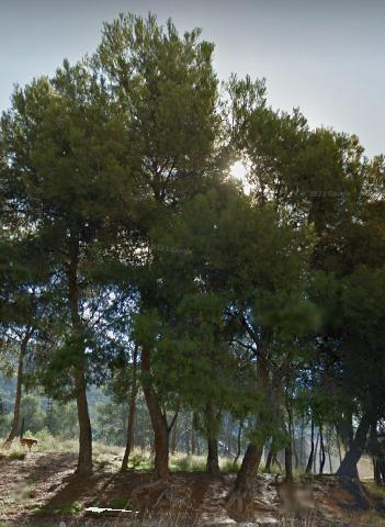 Imagen 5 Inmueble 283569 - Casa Adosada en venta en Villena / Casa adosada para reformar en zona Las Cruces . 157 m2