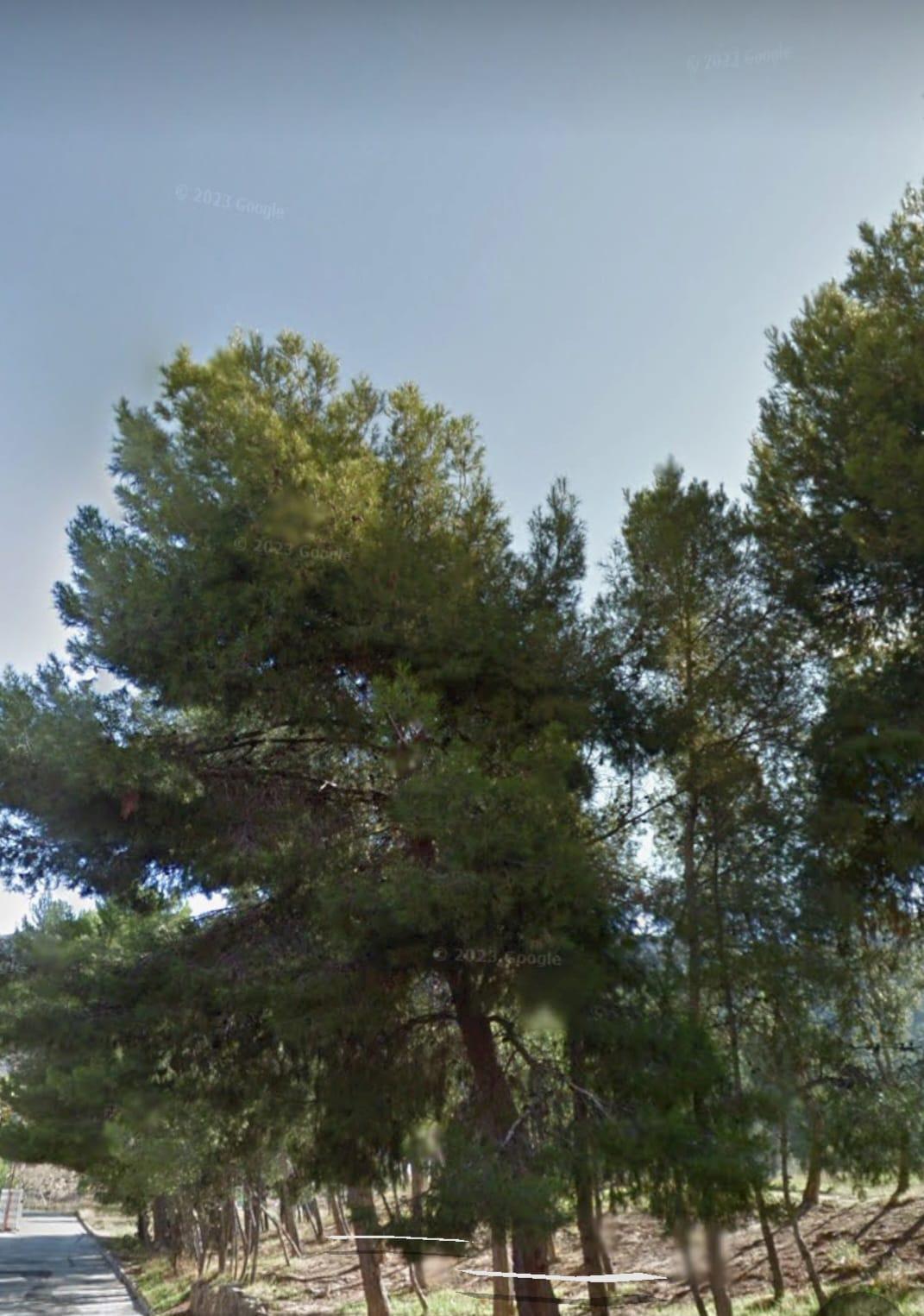 Imagen 4 Casa Adosada en venta en Villena / Casa adosada para reformar en zona Las Cruces . 157 m2