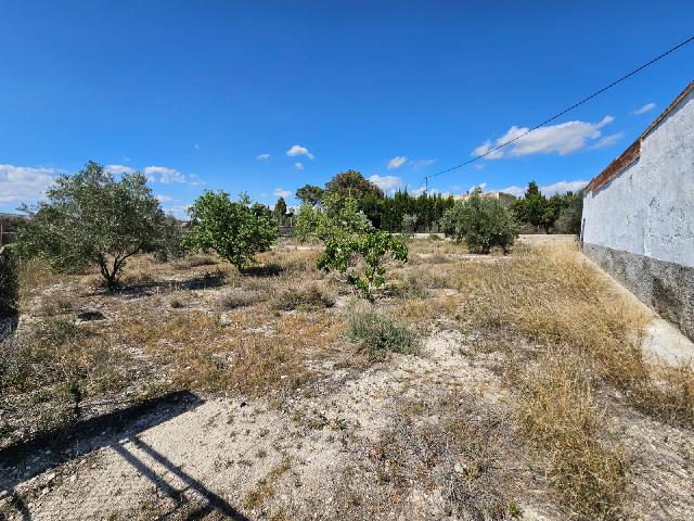 Imagen 5 Inmueble 284341 - Casa Rústica en venta en Petrer / Casa de Campo en Almafrá Alta de Petrer