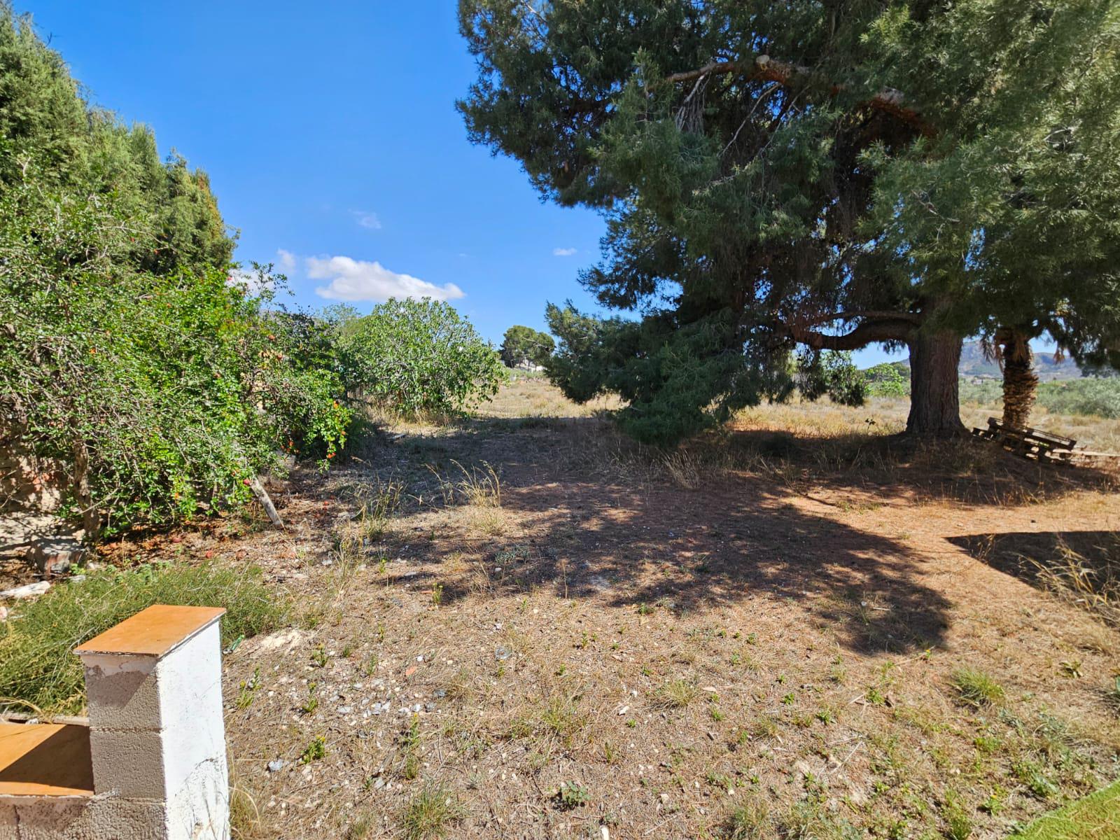 Imagen 26 Casa Rústica en venta en Petrer / Casa de Campo en Almafrá Alta de Petrer