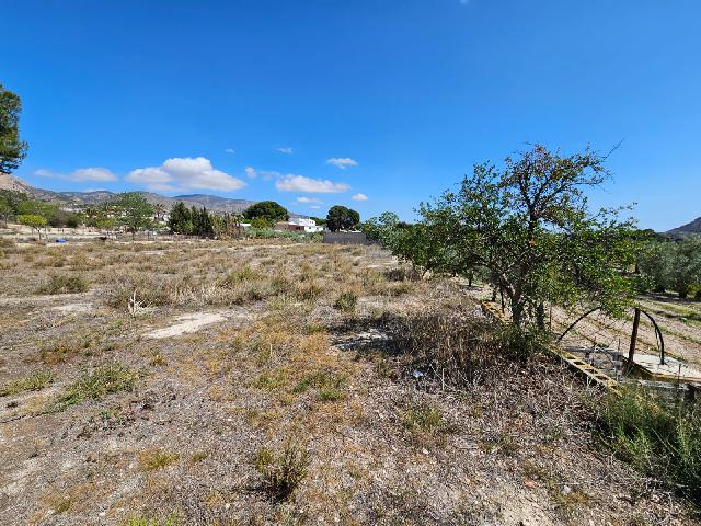 Imagen 27 Inmueble 284341 - Casa Rústica en venta en Petrer / Casa de Campo en Almafrá Alta de Petrer