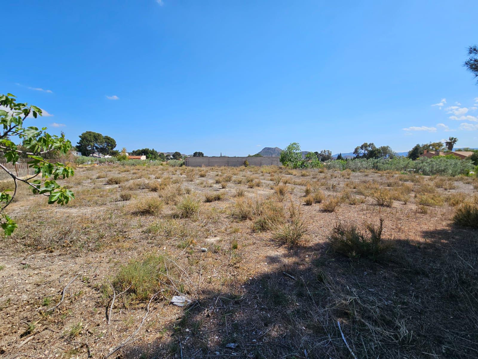 Imagen 28 Casa Rústica en venta en Petrer / Casa de Campo en Almafrá Alta de Petrer