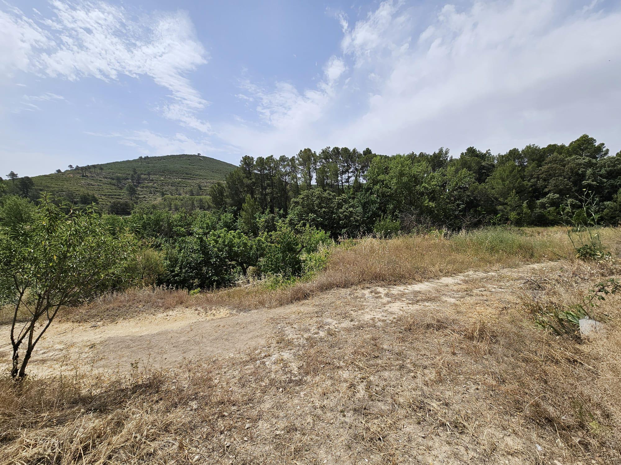 Imagen 28 Casa Rústica en venta en Torremanzanas/torre De Les Maçanes La / Finca rústica en Partid...