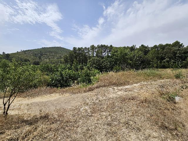 Imagen 28 Inmueble 294608 - Casa Rústica en venta en Torremanzanas/torre De Les Maçanes (La) / Finca rústica en Partid...