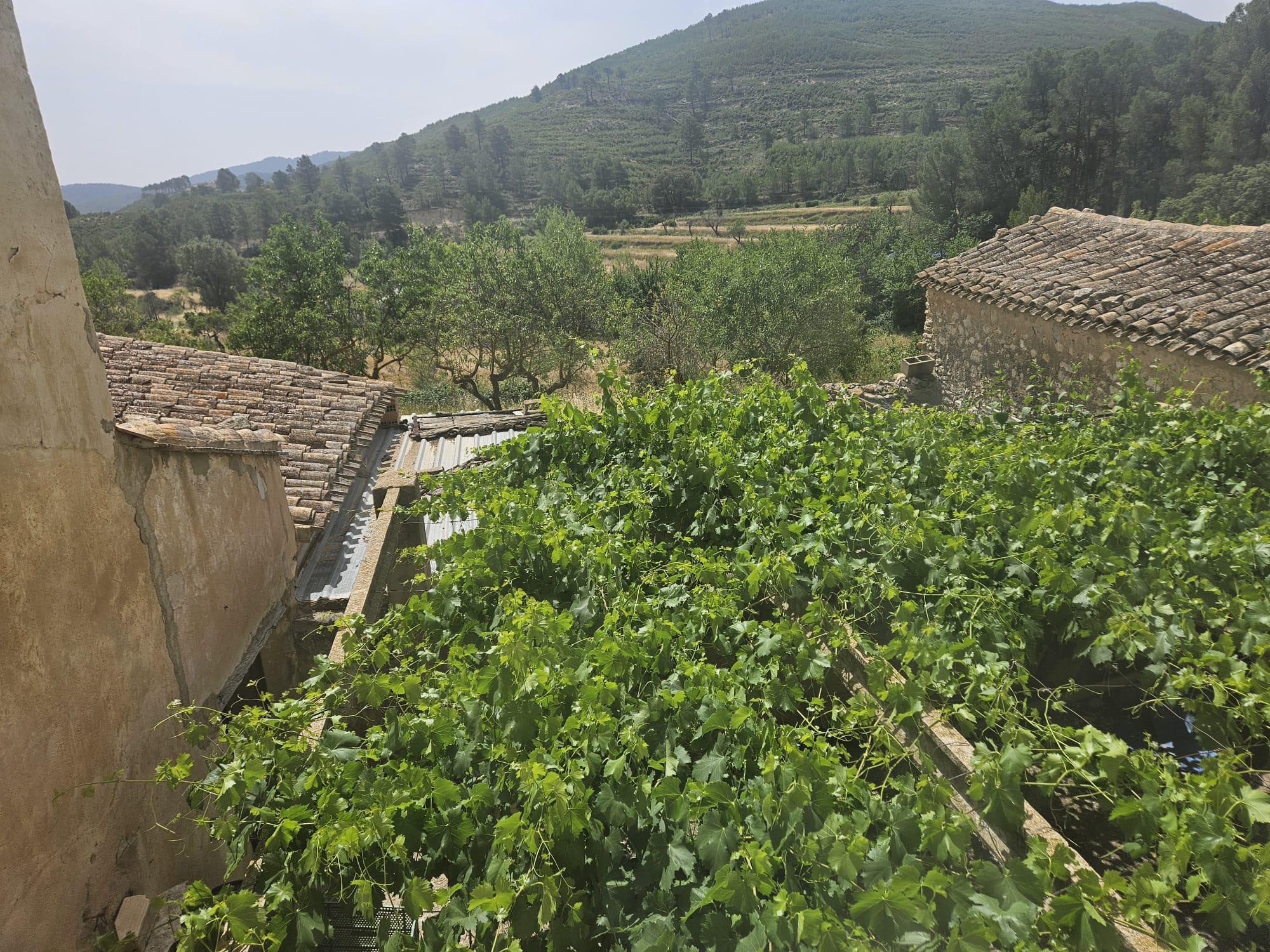 Imagen 4 Casa Rústica en venta en Torremanzanas/torre De Les Maçanes La / Finca rústica en Partid...