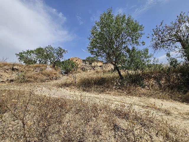 Imagen 27 Inmueble 294608 - Casa Rústica en venta en Torremanzanas/torre De Les Maçanes (La) / Finca rústica en Partid...