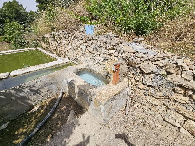 Imagen 25 Inmueble 294608 - Casa Rústica en venta en Torremanzanas/torre De Les Maçanes (La) / Finca rústica en Partid...