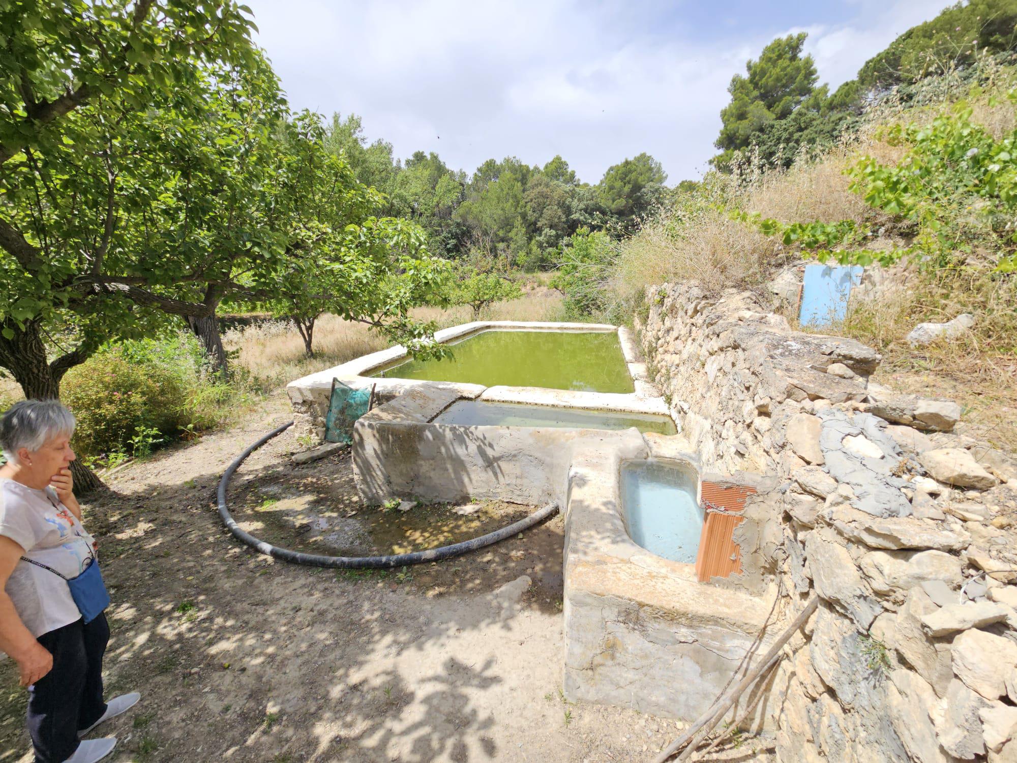 Imagen 26 Casa Rústica en venta en Torremanzanas/torre De Les Maçanes La / Finca rústica en Partid...