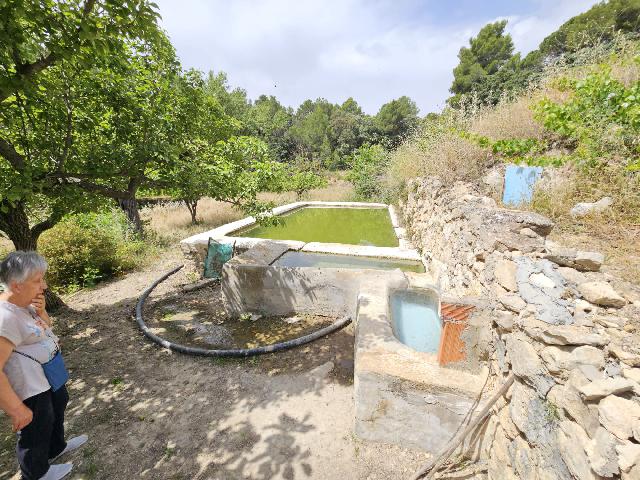 Imagen 26 Inmueble 294608 - Casa Rústica en venta en Torremanzanas/torre De Les Maçanes (La) / Finca rústica en Partid...