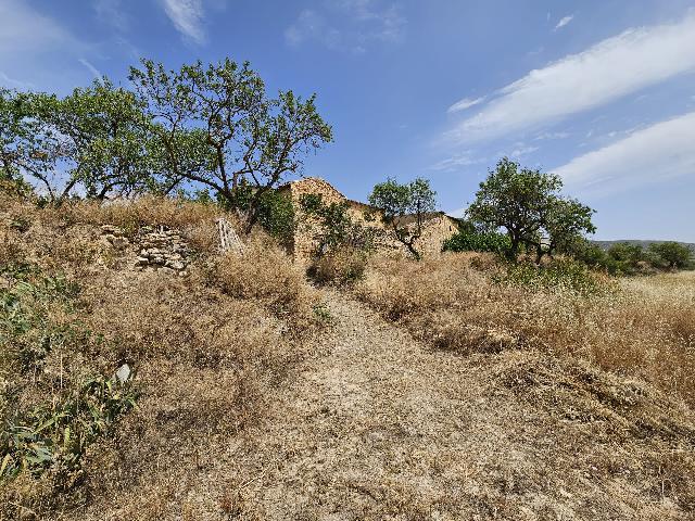 Imagen 38 Inmueble 294608 - Casa Rústica en venta en Torremanzanas/torre De Les Maçanes (La) / Finca rústica en Partid...