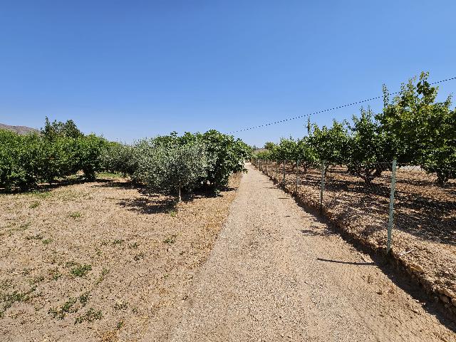 Imagen 34 Inmueble 295521 - Casa Rústica en venta en Jumilla / Casa de Campo con piscina junto a las Encebras-Jumilla