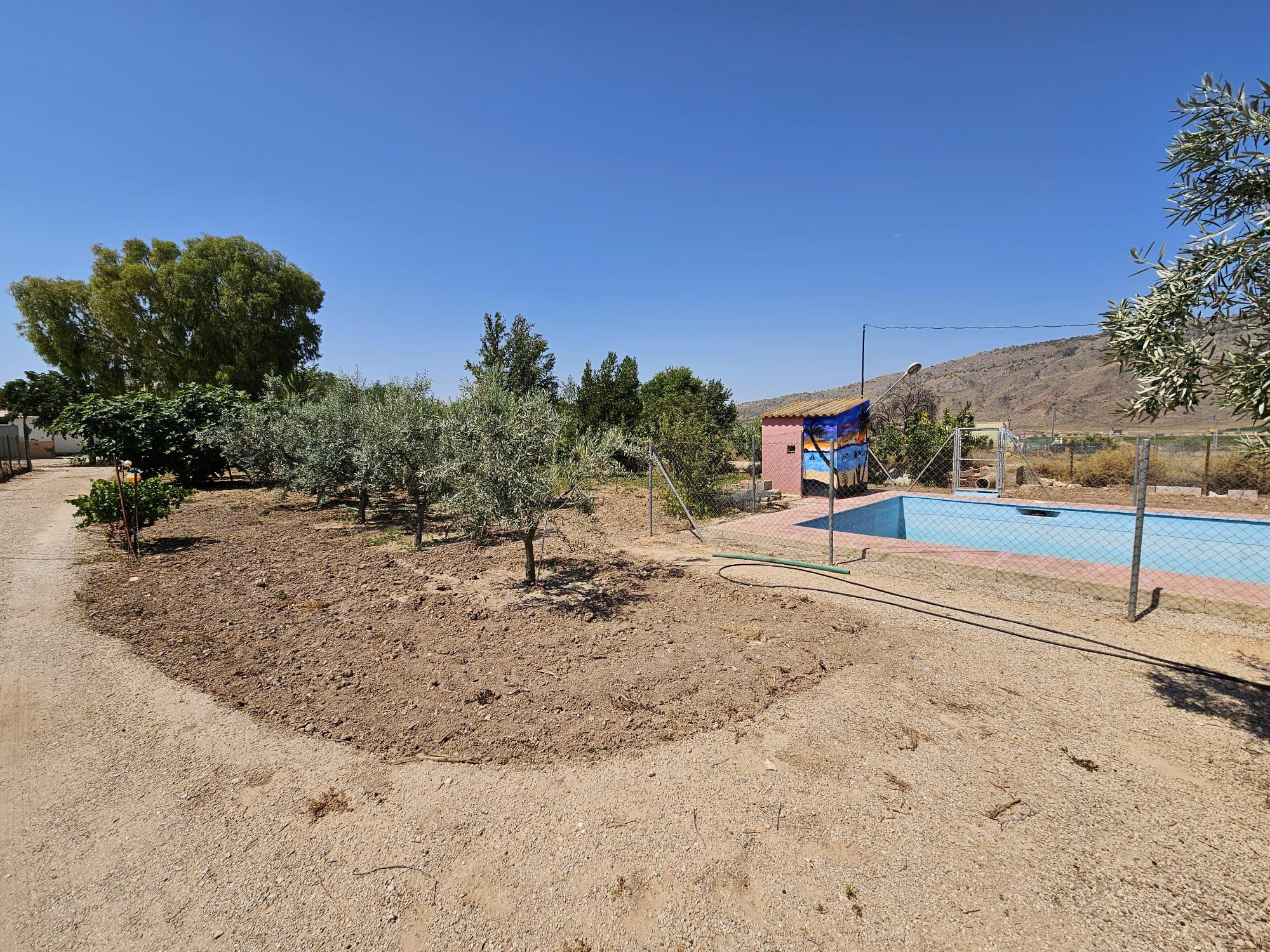 Imagen 2 Casa Rústica en venta en Jumilla / Casa de Campo con piscina junto a las Encebras-Jumilla