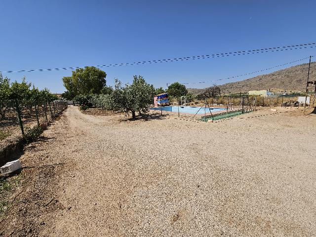 Imagen 33 Inmueble 295521 - Casa Rústica en venta en Jumilla / Casa de Campo con piscina junto a las Encebras-Jumilla