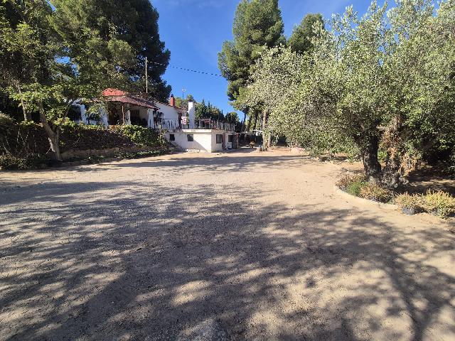 Imagen 31 Inmueble 296427 - Casa Rústica en venta en Elda / Casa de campo con piscina y 8.000m2 en Peña del Sol