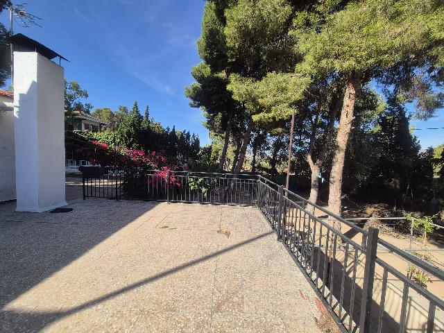 Imagen 27 Inmueble 296427 - Casa Rústica en venta en Elda / Casa de campo con piscina y 8.000m2 en Peña del Sol