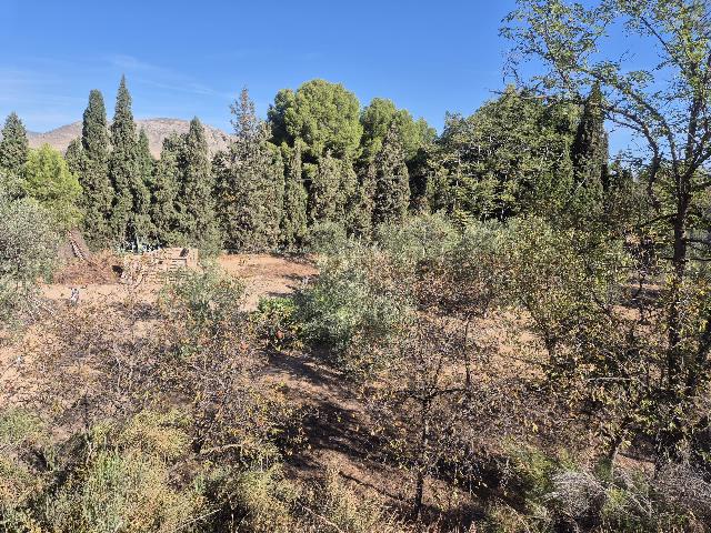 Imagen 37 Inmueble 296427 - Casa Rústica en venta en Elda / Casa de campo con piscina y 8.000m2 en Peña del Sol