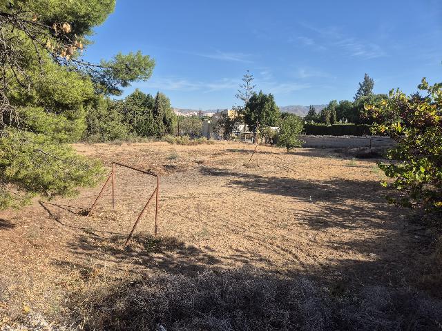 Imagen 39 Inmueble 296427 - Casa Rústica en venta en Elda / Casa de campo con piscina y 8.000m2 en Peña del Sol