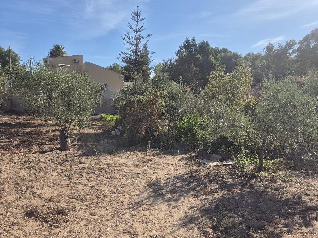 Imagen 40 Inmueble 296427 - Casa Rústica en venta en Elda / Casa de campo con piscina y 8.000m2 en Peña del Sol