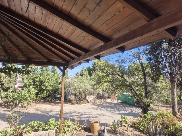 Imagen 11 Inmueble 296427 - Casa Rústica en venta en Elda / Casa de campo con piscina y 8.000m2 en Peña del Sol