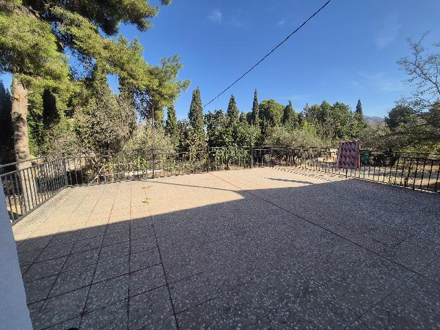 Imagen 44 Inmueble 296427 - Casa Rústica en venta en Elda / Casa de campo con piscina y 8.000m2 en Peña del Sol