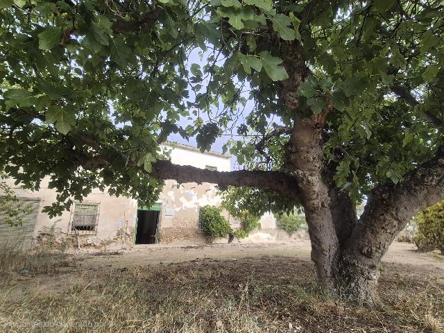 Imagen 4 Inmueble 298055 - Casa Rústica en venta en Tobarra / Casa pareada en Cordovilla-Tobarra, con parcela +-700m2