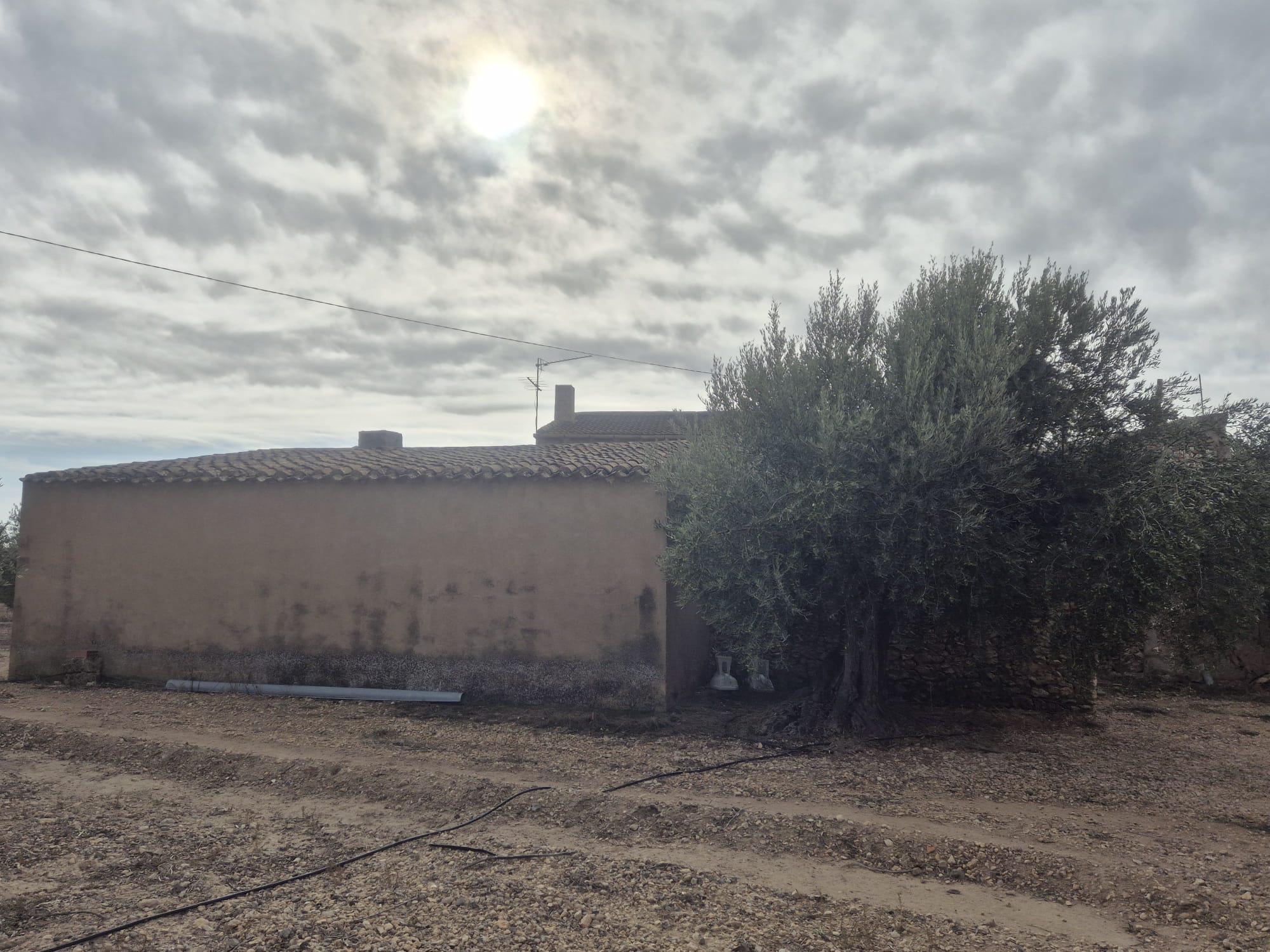 Imagen 33 Casa Rústica en venta en Tobarra / Casa pareada en Cordovilla-Tobarra, con parcela +-700m2