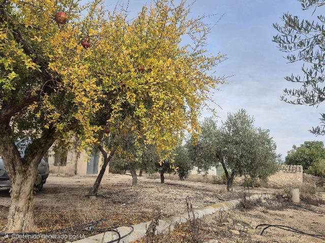 Imagen 32 Inmueble 298055 - Casa Rústica en venta en Tobarra / Casa pareada en Cordovilla-Tobarra, con parcela +-700m2